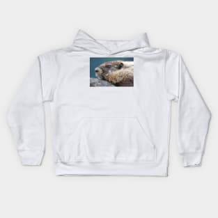 Marmot in Mount Rainier National Park Kids Hoodie